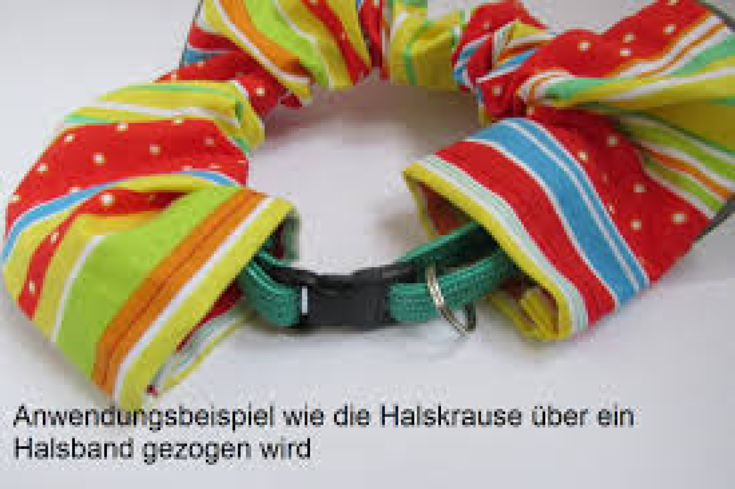 Birdsbesafe® Katzen-Halskrause Funky